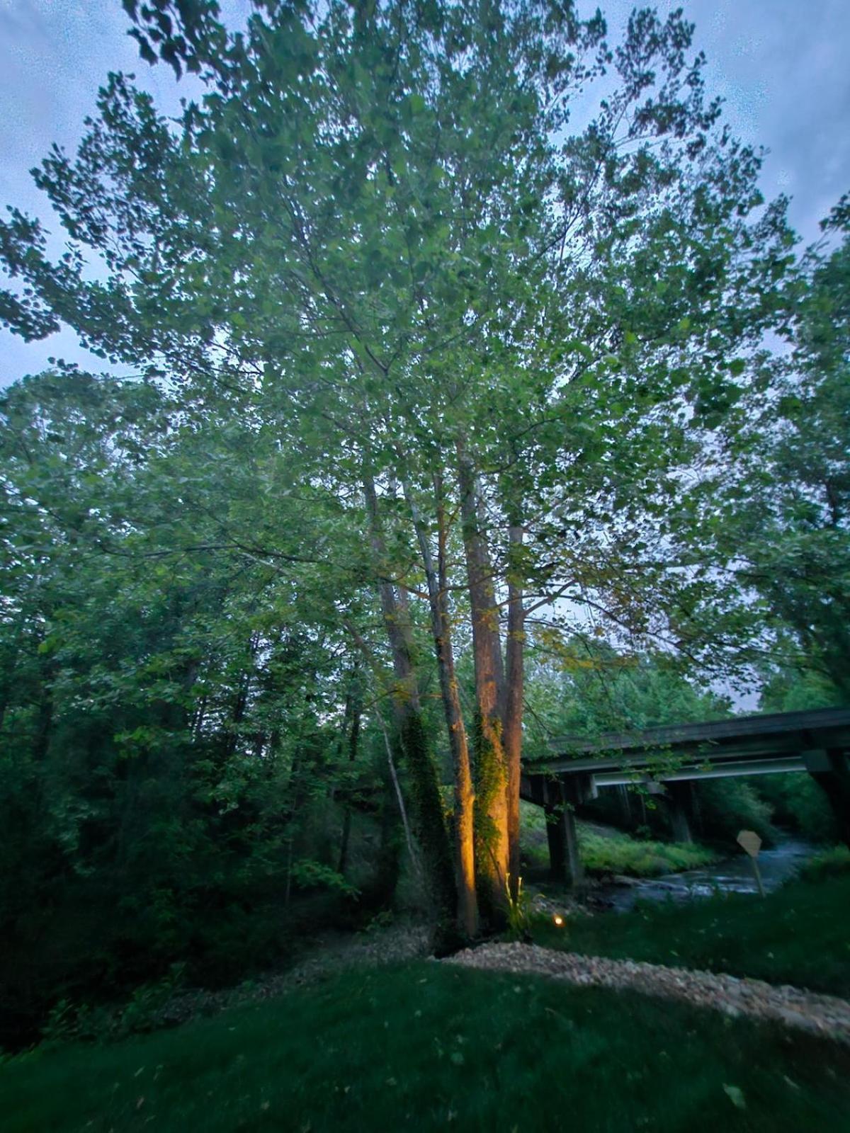 Life'S Good Retreat Bear Cottage Brevard Exterior photo